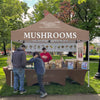 ABLEM8CANOPY Mushroom Concession 10x10 Best Rated Canopy Tents