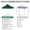 ABLEM8CANOPY 10x10 Green Canopy Tent - ablem8canopy