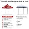 ABLEM8CANOPY Cinnamon Roasted Almonds 10 x 10 canopy tent with sidewalls
